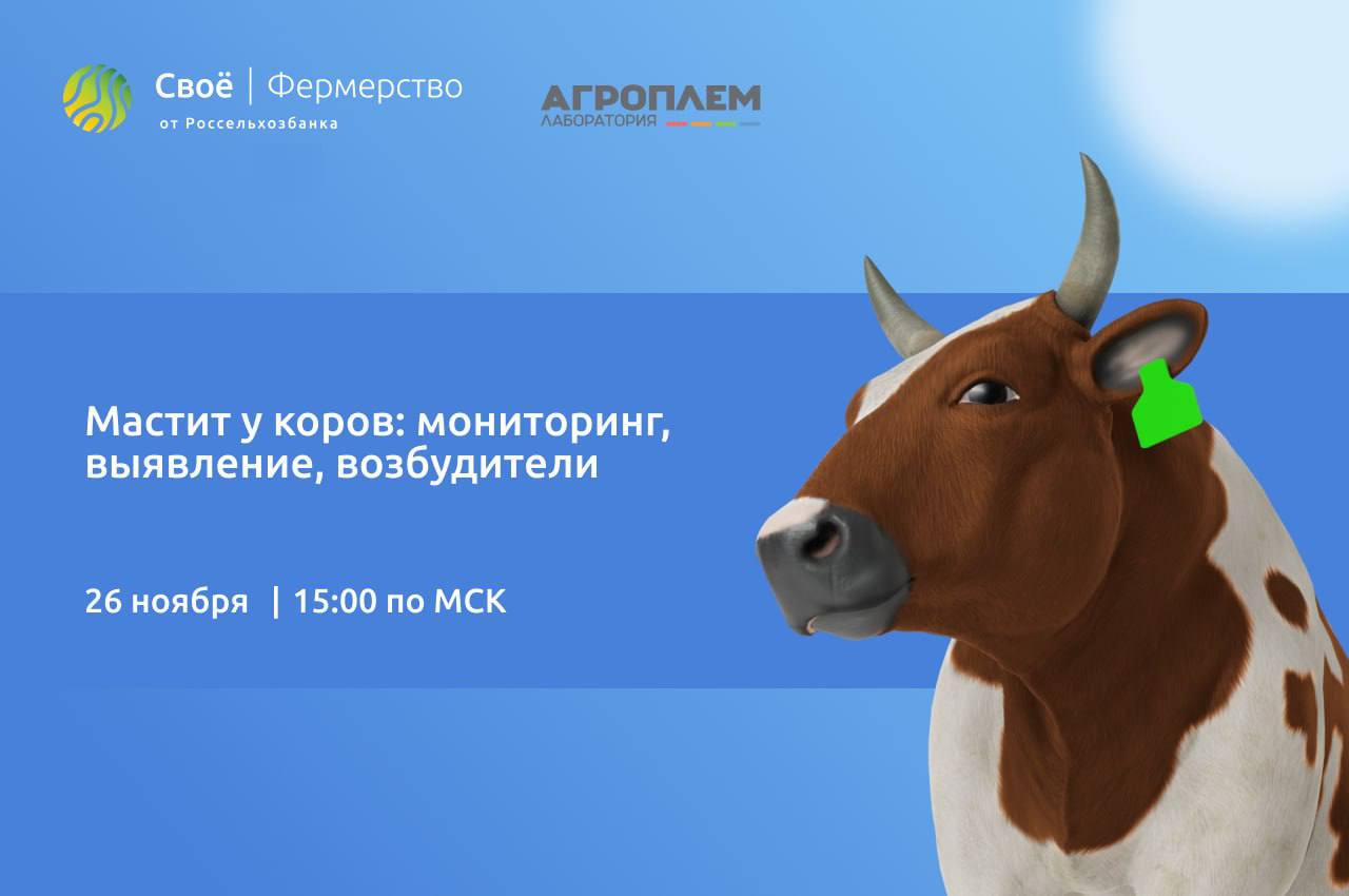 Приглашаем на live-беседу «Мастит у коров: мониторинг, выявление, возбудители»