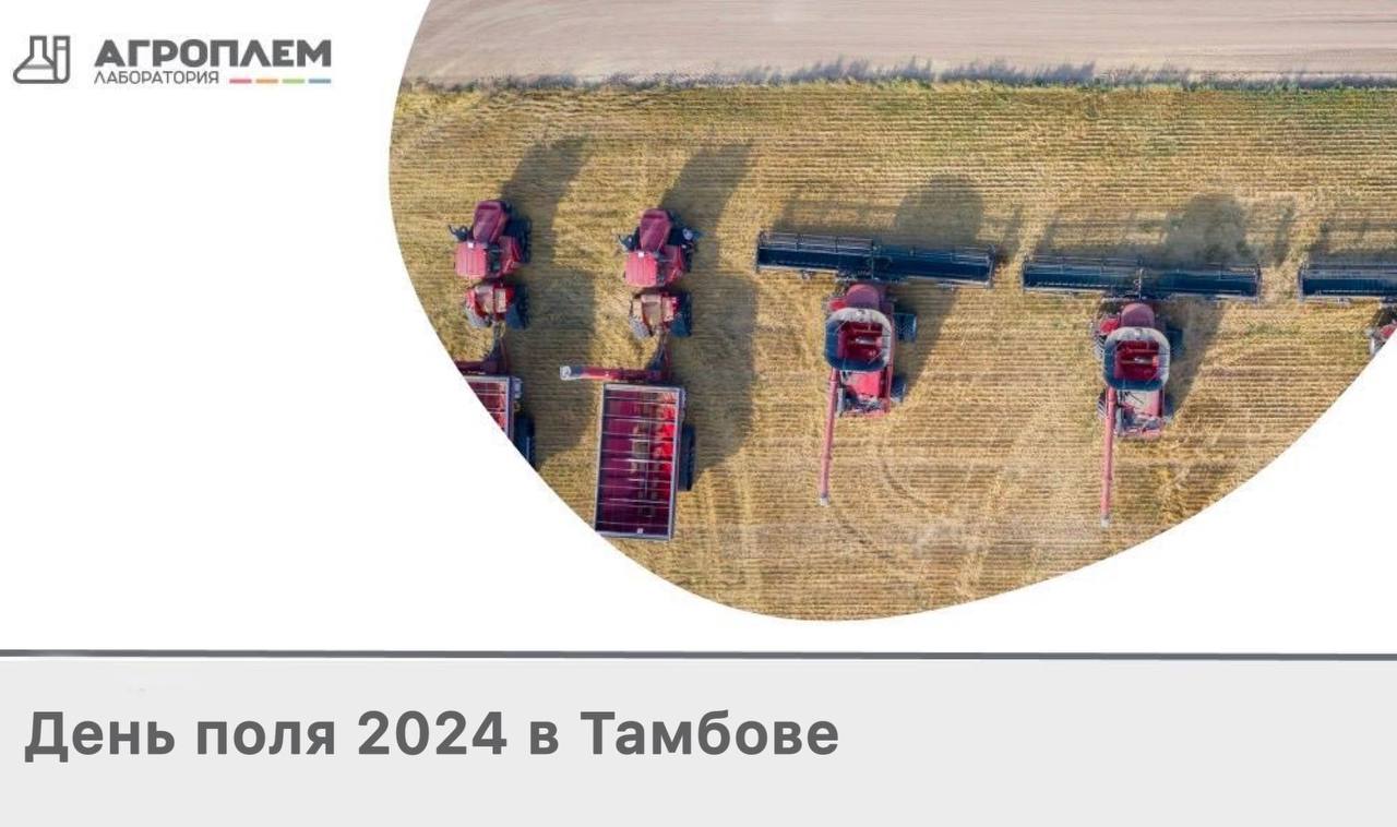 День поля 2024 в г. Тамбове