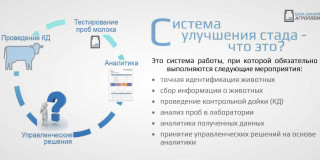 Новая рубрика — «База знаний «Агроплем»