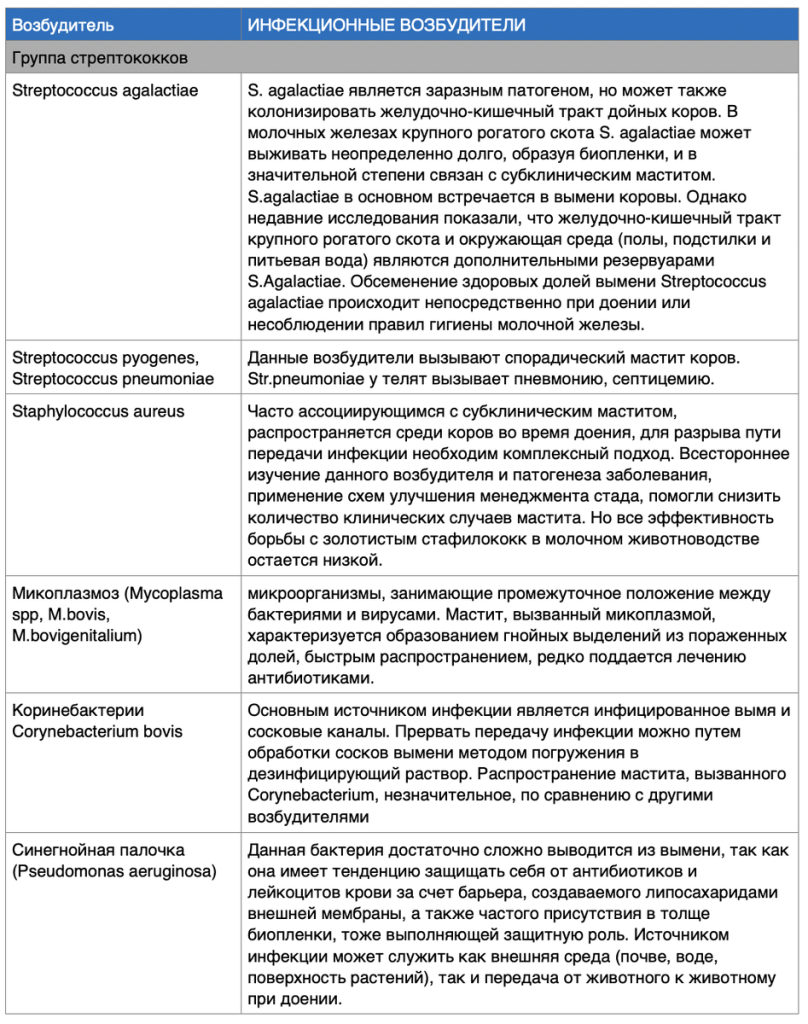 Мастит крупного рогатого скота является наиболее распространенным заболеванием молочного скота во всем мире.