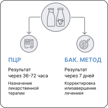 Лечение мастита